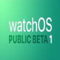 watchOS7.1beta4描述文件