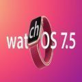 WatchOS 8 beta2描述文件