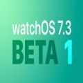 watchOS 7.6 开发者预览版 Beta4