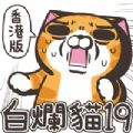 白烂猫19