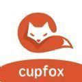 茶杯狐cupfox官方