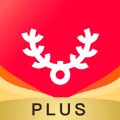 古果朝阳PLUS