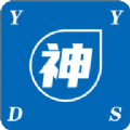 YYDS