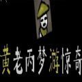 黄老丙梦游惊奇版