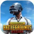 绝地求生pubg mobile国际服