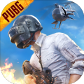 PUBGMOBILE绝地求生M