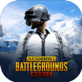 pubg(国际服)地铁逃生模式